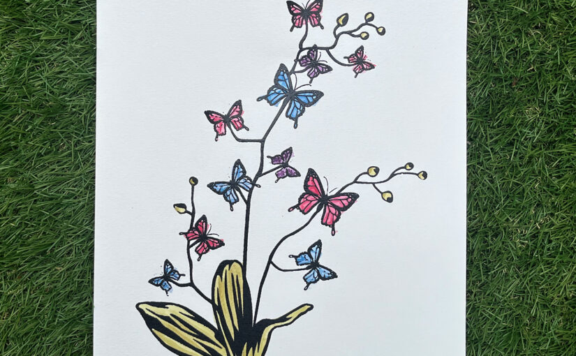 Butterfly Orchid $20